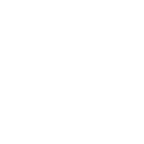 Ícone de liderança